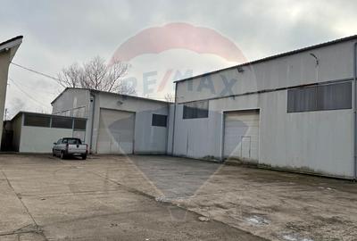Spațiu industrial în Deva - Platformă betonată, 2 hale , linie CFR - 9