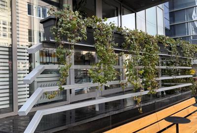 REC0002913 Spatiu Comercial Floreasca - 1