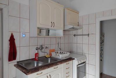 2 apartamente in vila, Turda - Ion Mihalache - 14