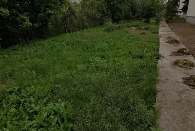 Teren Construcții intravilan de 506 mp, în Palazu Mare