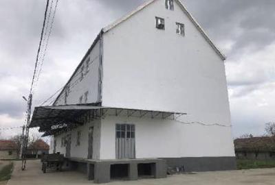 Moară cereale 50 t/zi + afacere funcțională | teren + hale | Bihor - 12