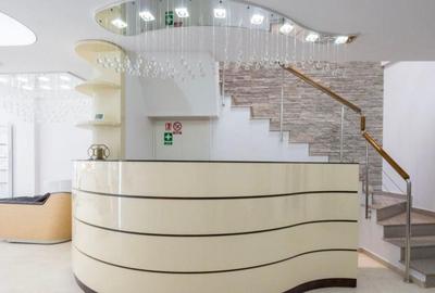 Vilă Modernă Premium cu Curte | Lacul Tei | Ideală Rezidențial sau Birou - 2