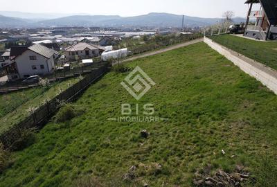 Teren de vanzare 10 ari - zona LEONI - 8