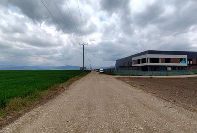 Teren  pentru activitati industriale langa DN 11 - 1