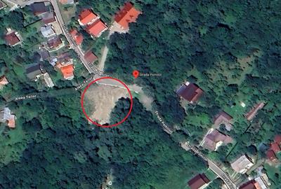 Teren intravilan 1800MP | Cornu de Sus - 1