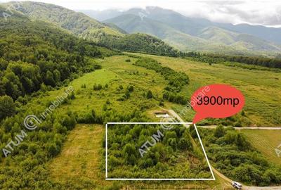 Teren intravilan 3900 mp Porumbacu de Sus, Sibiu - 1