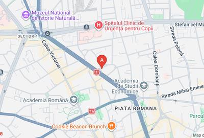 Apartament de inchiriat stradal Lascăr Catargiu singur pe nivel et 2 din S+P+2+M - 14