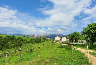 Teren pentru casa de vacanta , Pestera , Brasov - 6