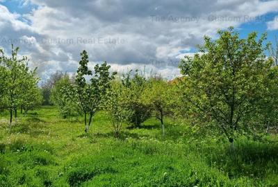 Casă individuală cu 5 camere decomandat în Corbeanca
