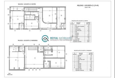 Royal Imobiliare - Vanzare Vila cu 6 camere zona B-dul Bucuresti - 21