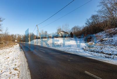 Casă cu Spațiu Comercial in Neamț - 10