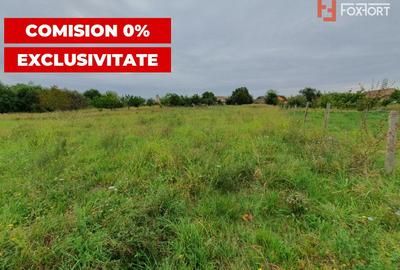 Teren Construcții intravilan de 2978 mp, în Sânmihaiu German