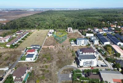 Teren - Voluntari - vis a vis de Padure - 10.000 mp - 1