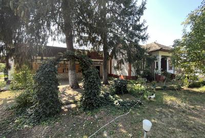 Popas La Doi Brazi - magazine, bar, terasă, casă boierească, grădină și piscină - 16
