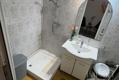 Apartament langa Parcul Central, ideal investitie sau Airbnb. - 10