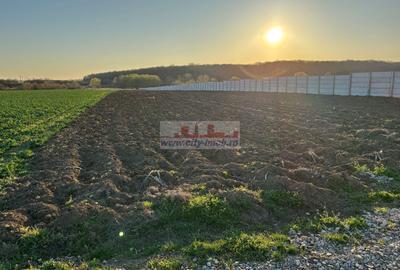 Vanzare teren constructie casa Snagov Sat Izvorani , Jud Ilfov - 1