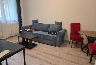 Apartament 2 camere spre inchiriere cu terasa Chitila Bucurestii Noi - 3