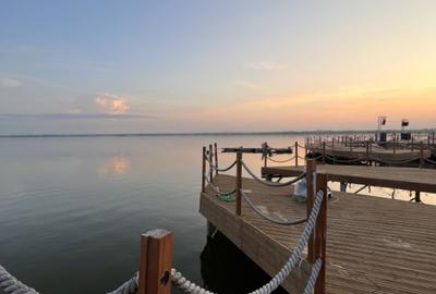 Apartament cu 2 camere decomandat în Vest