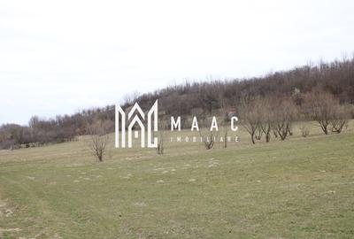 Pământ I Fereastră către Eternitate în  Transilvania - 10