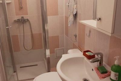 Apartament 3 camere inchiriere Gorjului/Militari - 10