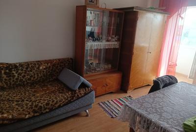 COMISION 0% | OPORTUNITATE ÎN TIMIȘOARA – Zona Dâmbovița (Nora) - 5