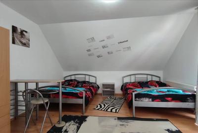 Pensiune in Sasca Montana - 7