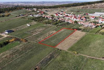 RECO Teren Intravilan Betfia - 1