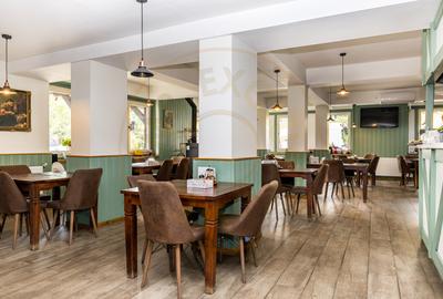 AFACERE FUNCTIONALA - MOTEL, PARCARE TIRURI, CAMPING cu piscina si lacuri - 4
