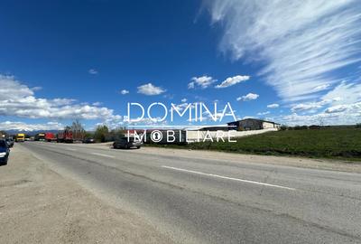 Vanzare teren intravilan 10.339 mp cu PUZ*dubla deschidere* - strada Narciselor - 6