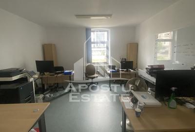 Casa în Dumbrăvița cu teren de 3039 mp și Front Stradal de 40 ml - 3