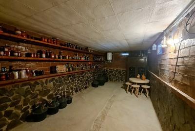 Vila de Vis în Domnești – Spațiu Generos și Confort Premium! - 22