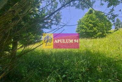 Teren de vânzare în Bușteni - Zona Zamora - 1