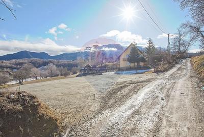 Comision 0%| Teren intravilan Sohodol 2495 mp| Apa si curent - 3