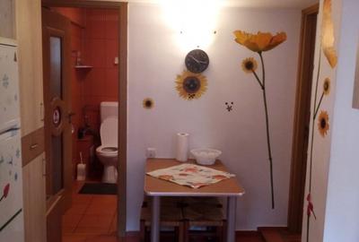 Vila superba 8 camere, Busteni/ Prahova - 27