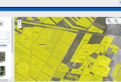 47500mp INTRAVILAN Pantelimon ideal investitie/ cartier case/ direct proprietar! - 3