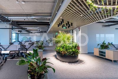 Birouri premium in Sibiu–Spatii flexibile moderne pentru companii - 12