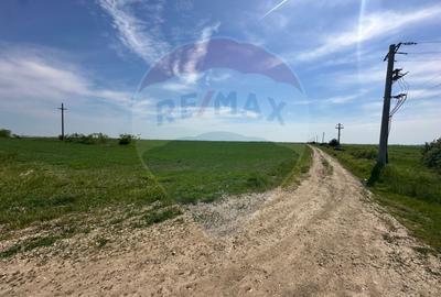 Teren 138.104 mp Dragomiresti-Vale, Ilfov, langa A0 - 1