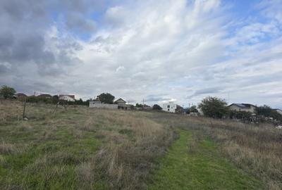 Teren de vanzare in Ovidiu - 3