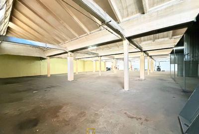 Hală industrială de închiriat în Arad – 1.150 mp, pret redus - 5