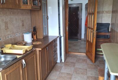 Abator, Sos. Mangaliei, 2 decomandate, 52 mp, mobilat si utilat, gaze, 400 Euro - 9
