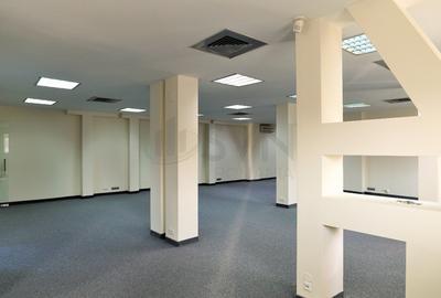 REV0002127 Vila Dorobanti Capitale - 13