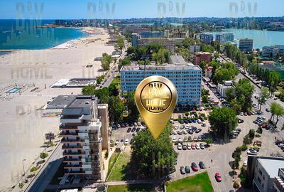 5 Copaci cu potential comercial, MAMAIA CENTRAL