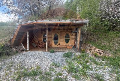 Proprietate eco-turistică de vânzare – 62.330 mp, Horea, Alba - 2