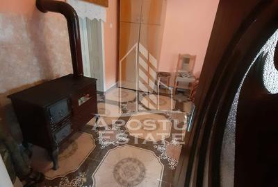 Casa la munte, la cheie, priveliste panoramica, in sat Ret, Hunedoara - 19