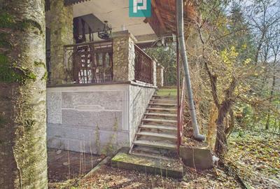 Casă P+E+M cu teren 8163 mp – Roșia Nouă (Petriș) - 6