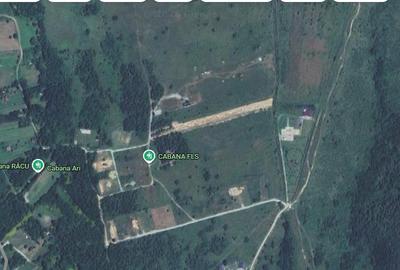 Teren extravilan 7800 mp zona Porumbacu de Jos- Valea Avrigului - 1