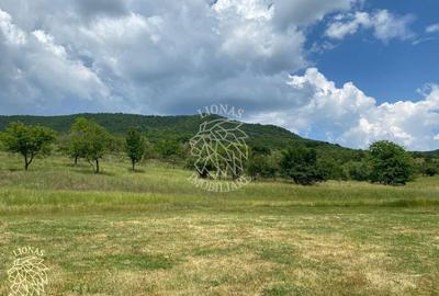 Teren 7200 mp-parcelabil-investitie-Sieu Magherus la 16 km de Bistrita - 2