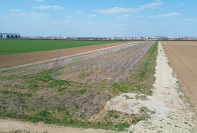 Oportunitate - 4 parcele de teren de vanzare in Santandrei - 5