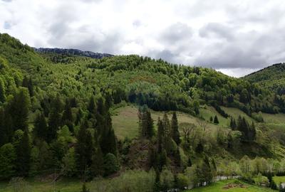 Extravilan + Intravilan | Sătic-Rucăr | Cadru natural | Turistic - 6
