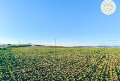 Teren intravilan 22800mp la 2km de Parcul Industrial Prejmer - 3